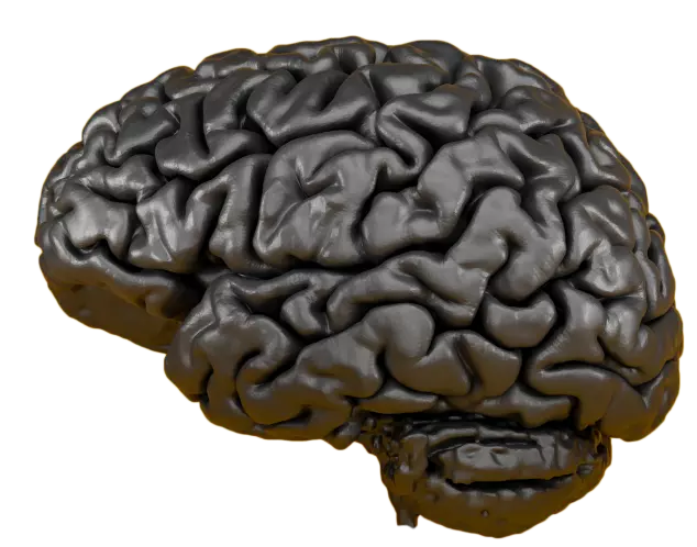 Brain for flutter app development blog